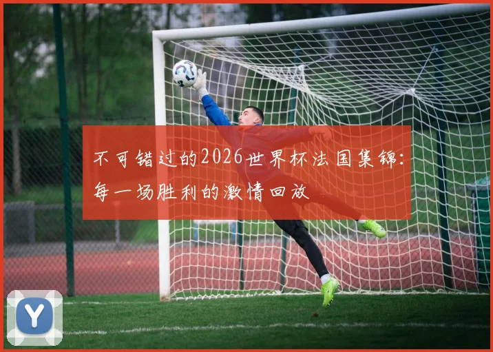 不可错过的2026世界杯法国集锦：每一场胜利的激情回放