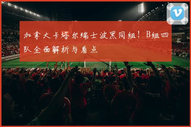 加拿大卡塔尔瑞士波黑同组！B组四队全面解析与看点