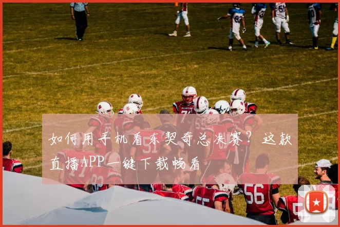 如何用手机看东契奇总决赛？这款直播APP一键下载畅看