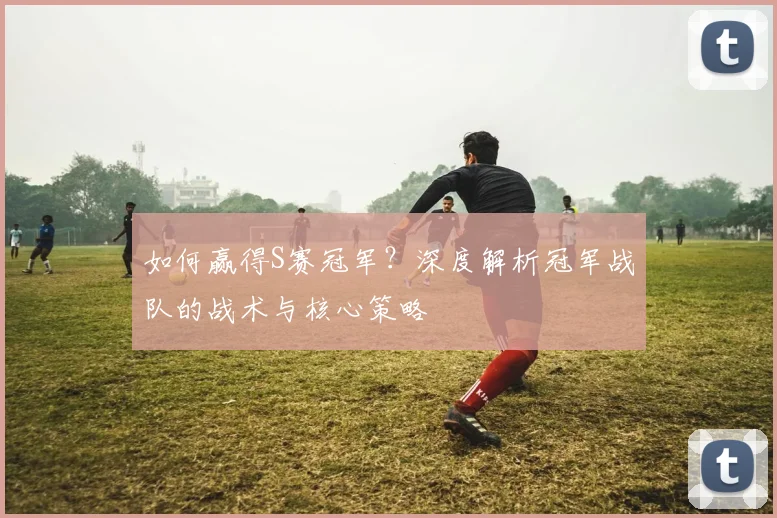 如何赢得S赛冠军？深度解析冠军战队的战术与核心策略